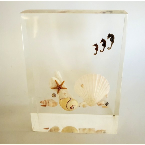 1970 Lucite Acrylic Bookends Nautical Ocean Beach Seashells Seahorses Starfish - Picture 6 of 16
